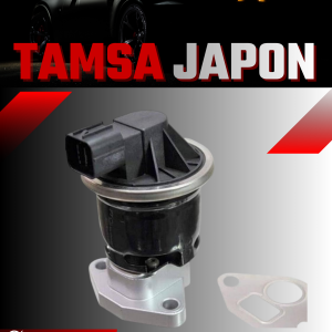 Tamsa Japon