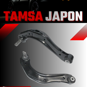 Tamsa Japon