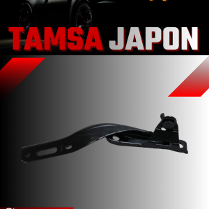 Tamsa Japon