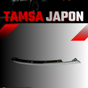 Tamsa Japon