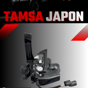 Tamsa Japon