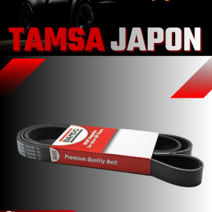 Tamsa Japon