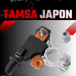 Tamsa Japon