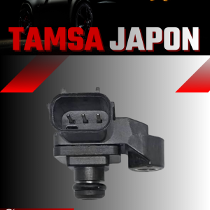 Tamsa Japon