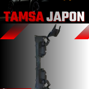 Tamsa Japon
