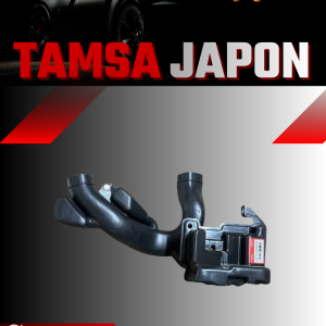 Tamsa Japon