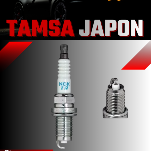 Tamsa Japon